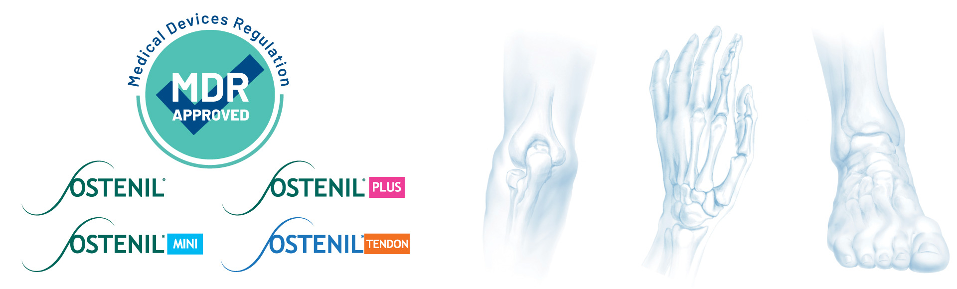 MDR-Banner-camp-2