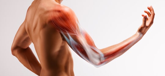 osteoarthritis ostenil trb