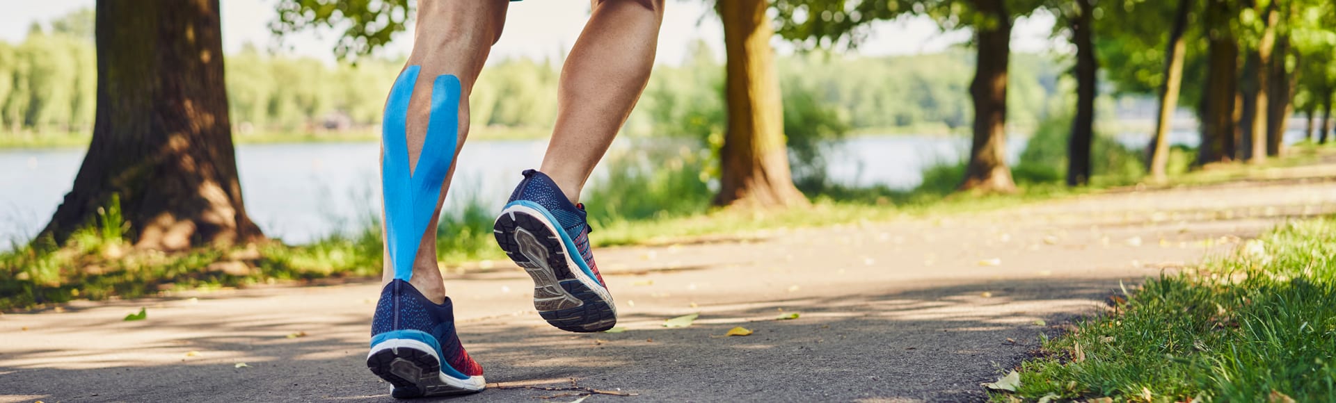 tendinopathy header banner faq ostenil tendon trb 1920×580